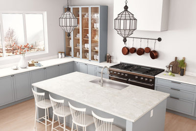 Gull Grey - 9242 - Traditional Kitchen Cabinets 