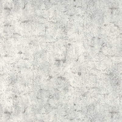 Birchbark- 8684 - Formica Laminate  