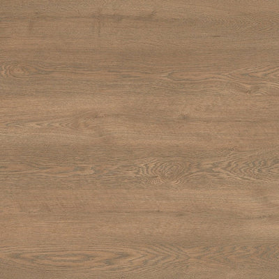 Fisher Oak - 17002 - Wilsonart Laminate  