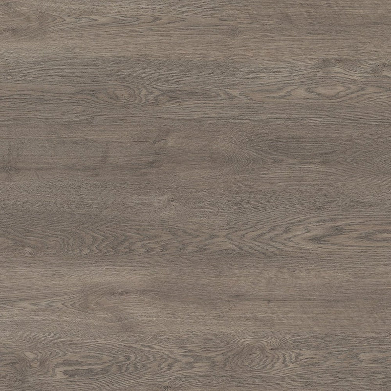 Carter Oak - 17004 - Wilsonart High Definition Laminate 