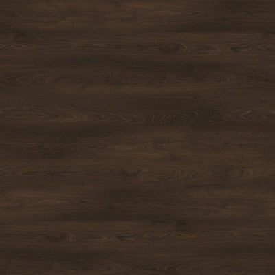 Webb Oak - 17013 - Wilsonart Laminate 