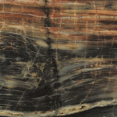 Petrified Wood - 3474 - Formica Laminate Matching Color Caulk