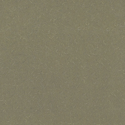 Green Tigris - 4667 - Wilsonart Laminate 