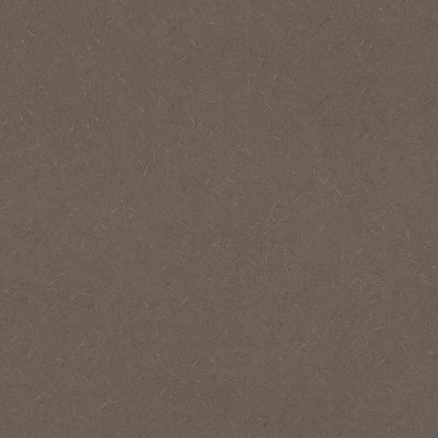 Evening Tigris - 4674 - Wilsonart Laminate