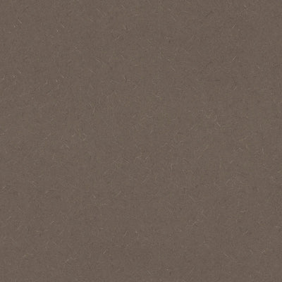 Evening Tigris - 4674 - Wilsonart Laminate