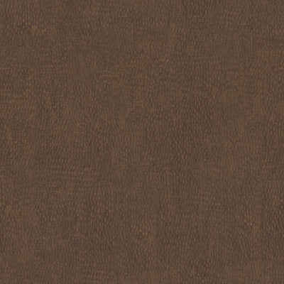 Windswept Bronze - 4794 - Wilsonart 