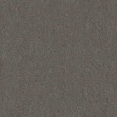 Windswept Pewter - 4795 - Wilsonart Laminate Edge Strip