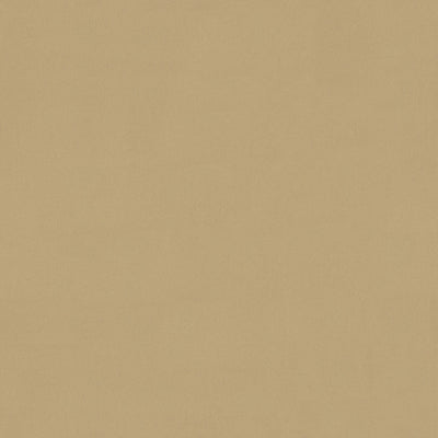 Soft Gold Mesh - 4911 - Wilsonart Laminate Matching Color Caulk