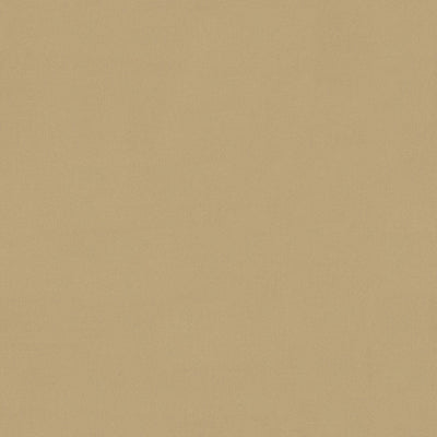Soft Gold Mesh - 4911 - Wilsonart Laminate 