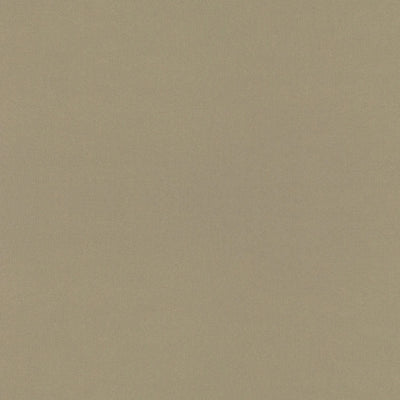 Gilded Mesh - 4912 - Wilsonart Laminate  