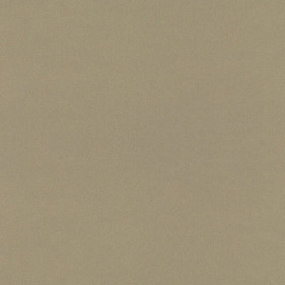 Gilded Mesh - 4912 - Wilsonart Laminate 