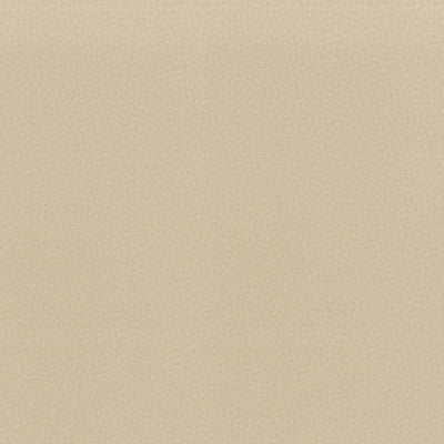 Cream Fizz - 4933 - Wilsonart Laminate