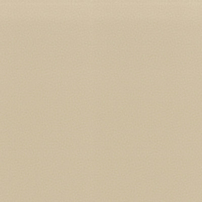 Cream Fizz - 4933 - Wilsonart Laminate