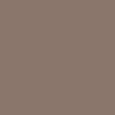 Earth - 5342 - Formica Laminate  