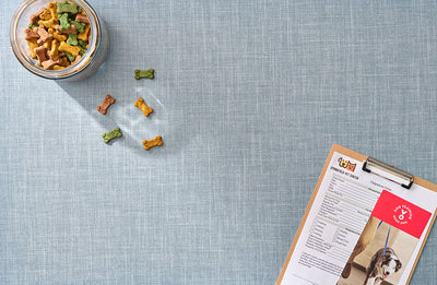 6130 Chambray Fabric