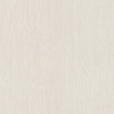 Formica White Washed Birchply 