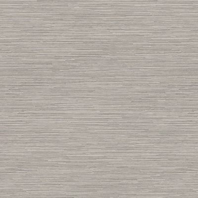 Silver Oak Ply - 8203 - SOLICOR - Wilsonart Laminate Sample