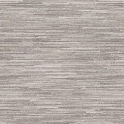 Silver Oak Ply - 8203 - Wilsonart Laminate 