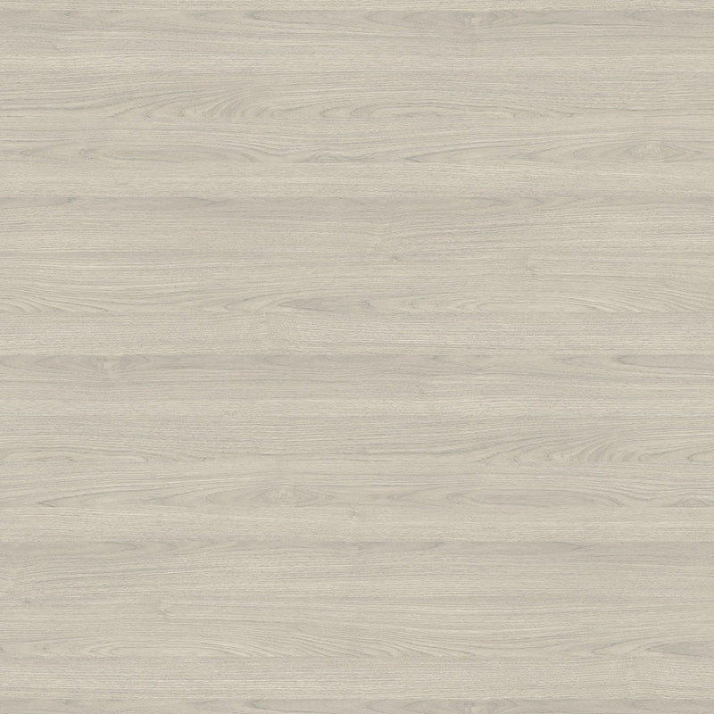 Italian Silver Ash - 8217 - Wilsonart Laminate