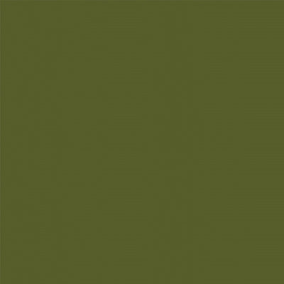 Algae - 8796 - Formica Laminate 