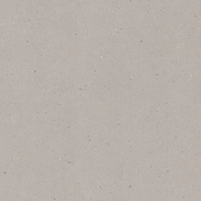 Limed Siltstone 9036