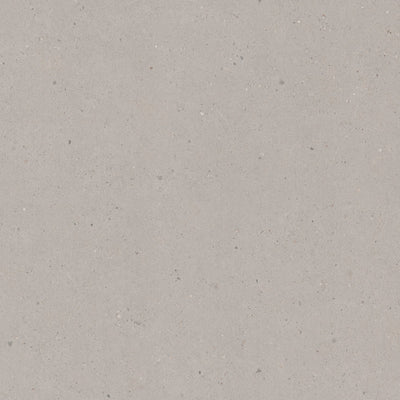 Limed Siltstone - 9036 - Formica Laminate