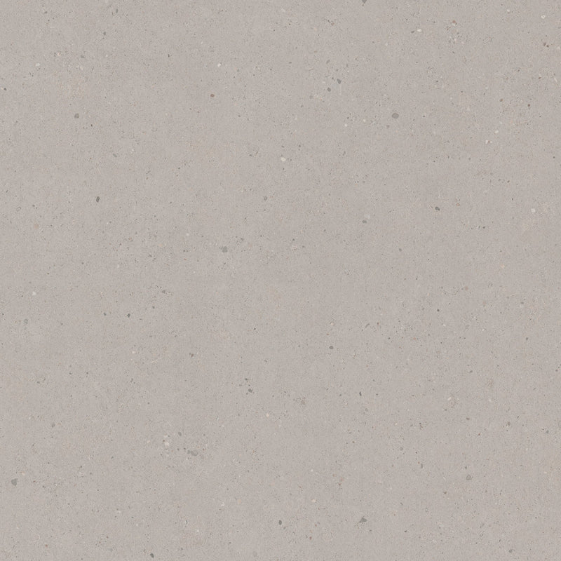 Limed Siltstone - 9036 - Formica Laminate