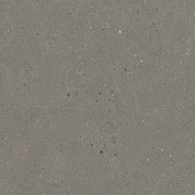 Flint Siltstone - 9037 - Formica Laminate