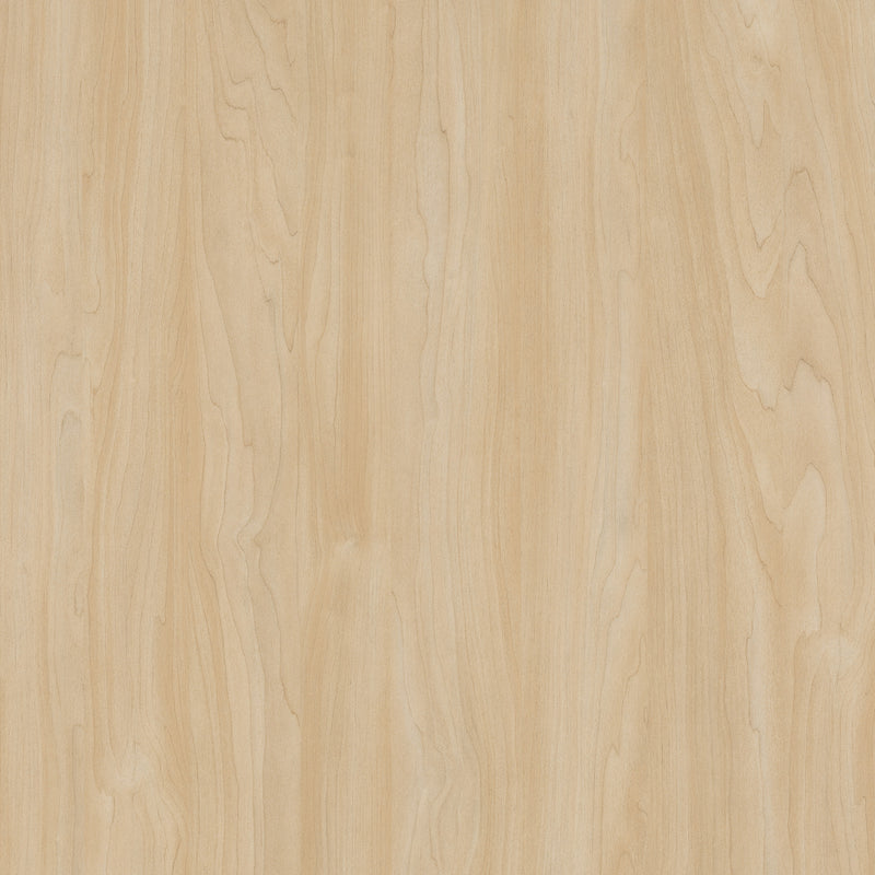 9039 Silver Maple