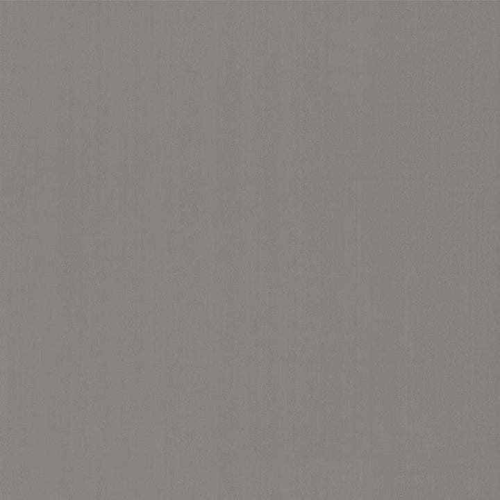 Stainless - 9319 - Formica Laminate  