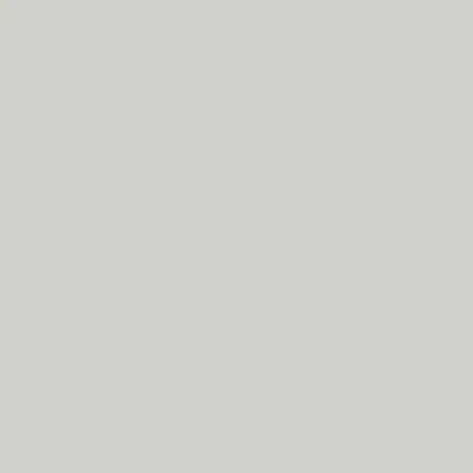 Silver Mist - D506 - Wilsonart Laminate Sample