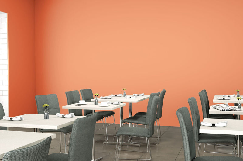 Solar Orange - 8235 - Restaurant
