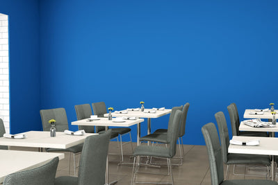 Spectrum Blue - 851 - Restaurant