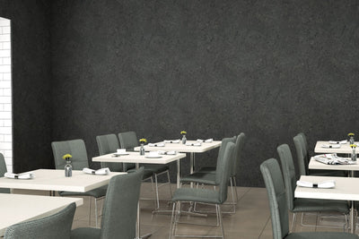 Black Shalestone - 9527 - Matte Finish - Restaurant