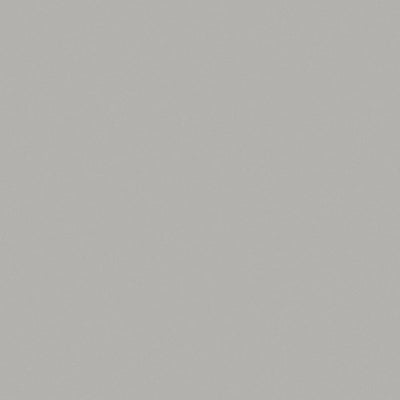 Platinum - D315 - Wilsonart Laminate  