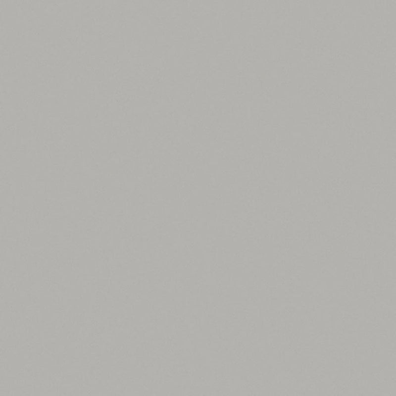 Platinum - D315 - Wilsonart Laminate  