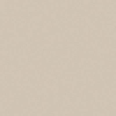 Wallaby - D439 - Wilsonart Laminate 