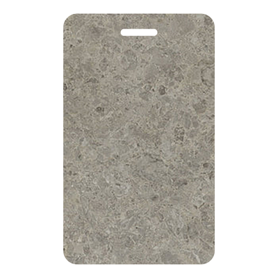 Silver Shalestone - 9307 - Formica Laminate Sample