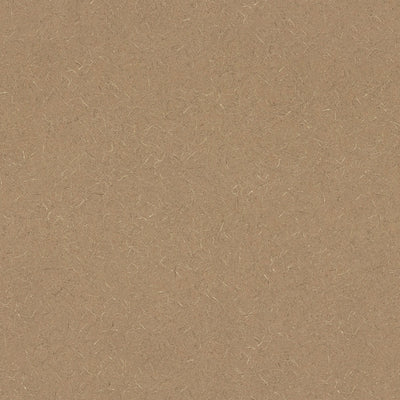 Natural Tigris - 4669 - Wilsonart 