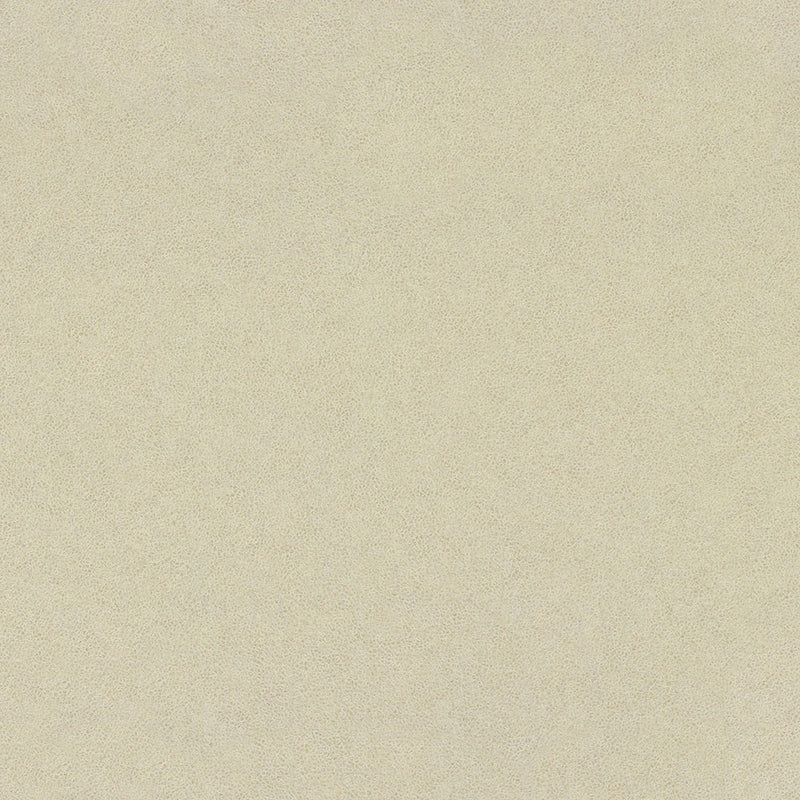 Western White - 4869 - Wilsonart Laminate Sheets