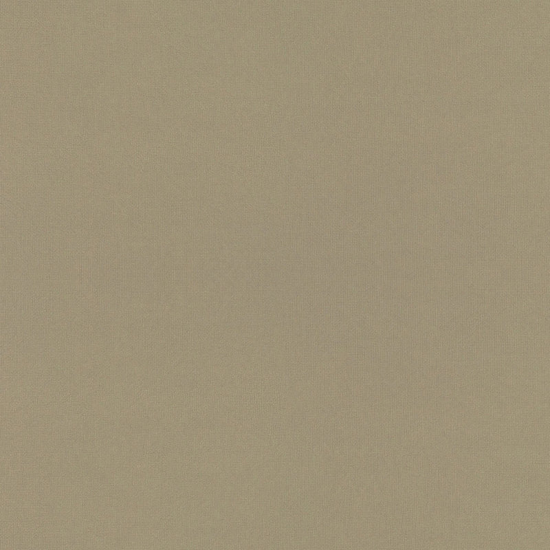 Gilded Mesh - 4912 - Wilsonart Laminate Sheets
