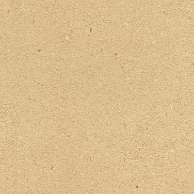 Cardboard Solidz - 7813 - Formica Laminate Sheets