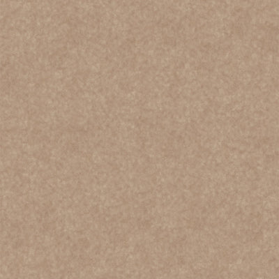 Hammered Light Bronze - Y0433 - Wilsonart Virtual Design Library Laminate Sheets