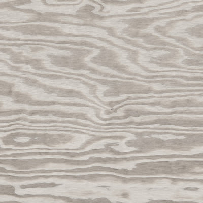 Grey Plywood - Y0706 - Wilsonart Virtual Design Library Laminate Sheets