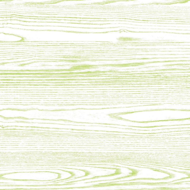 Lime Ash - Y0711 - Wilsonart Virtual Design Library Laminate Sheets