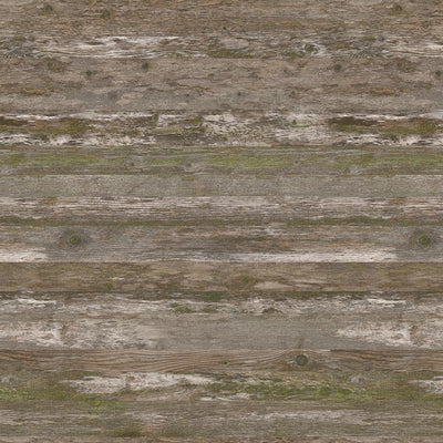Lichen the Look - Y0764 - Wilsonart Virtual Design Library Laminate Sheets