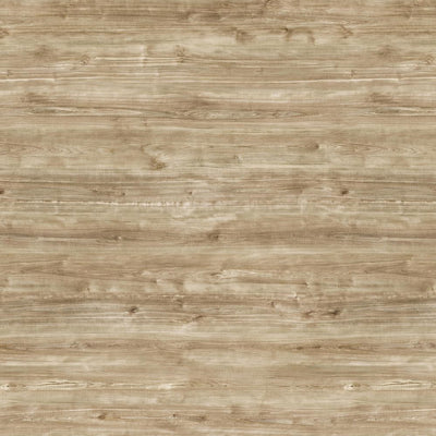 River Birch - Y0813 - Wilsonart Virtual Design Library Laminate Sheets