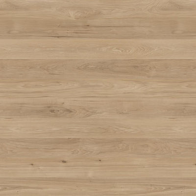 Harbour Hickory - Y0816 - Wilsonart Virtual Design Library Laminate Sheets